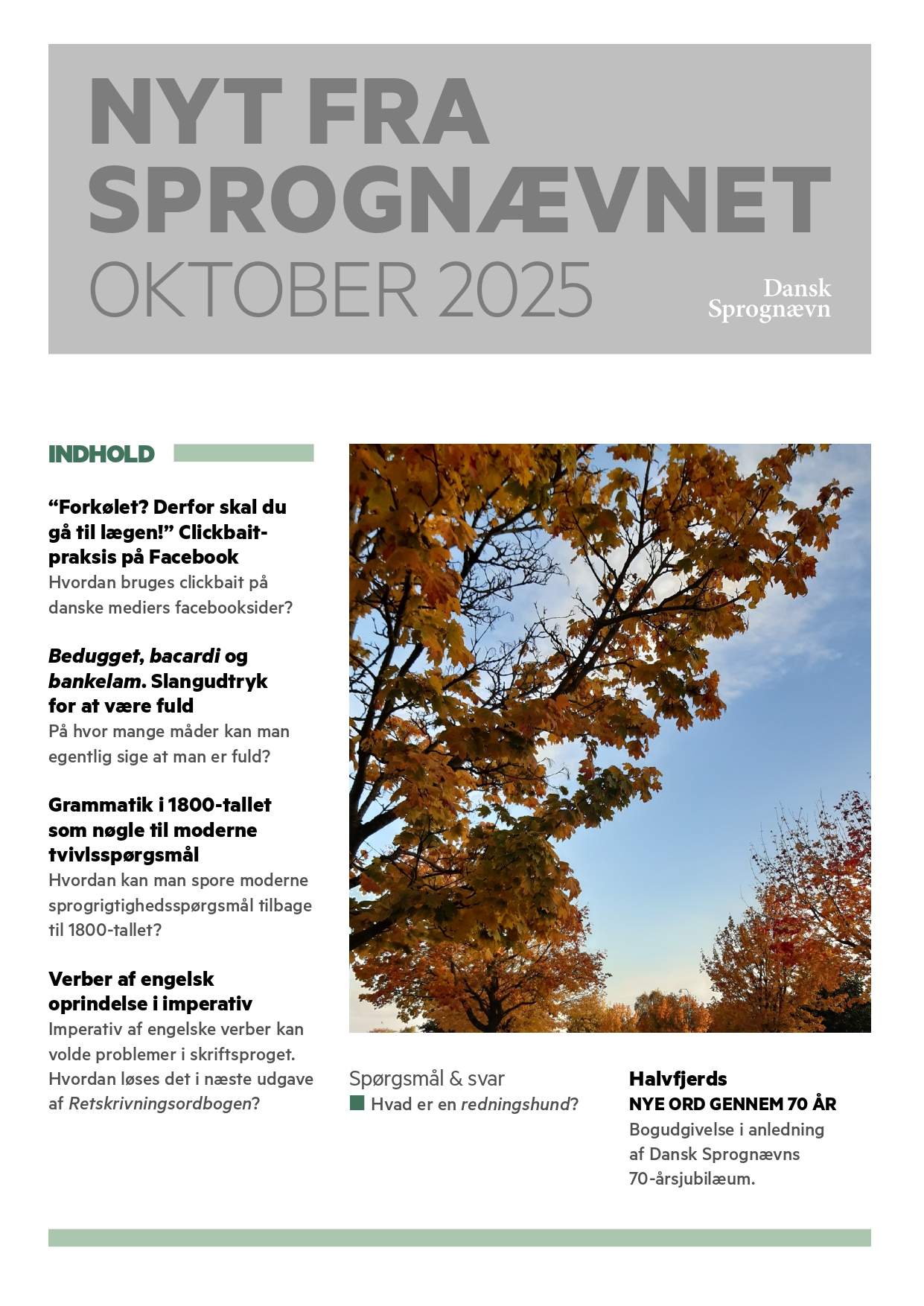 NfS oktober 2025_web_final_NY_page-0001