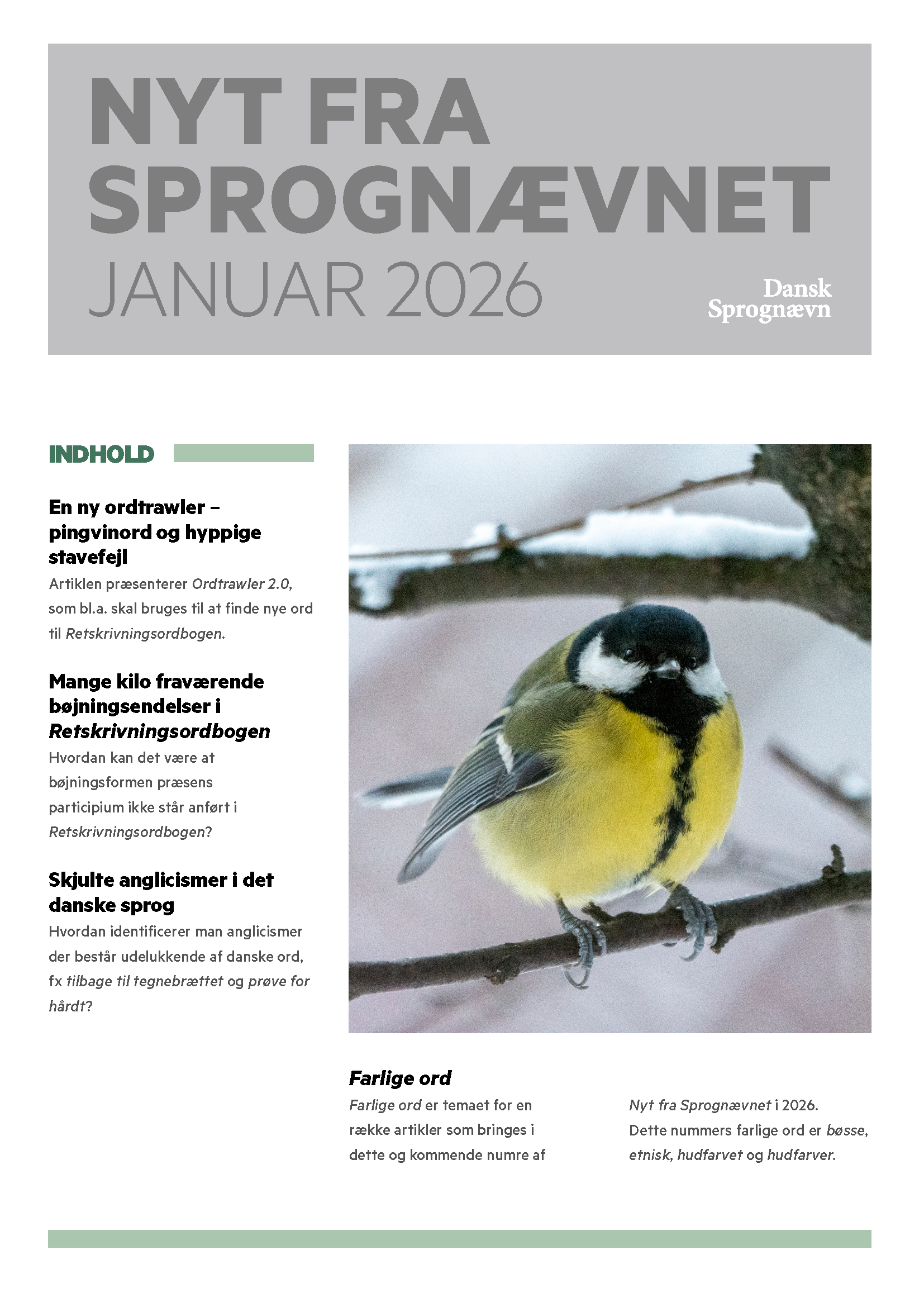 Pages from NfS januar 2026_final_web.pdf